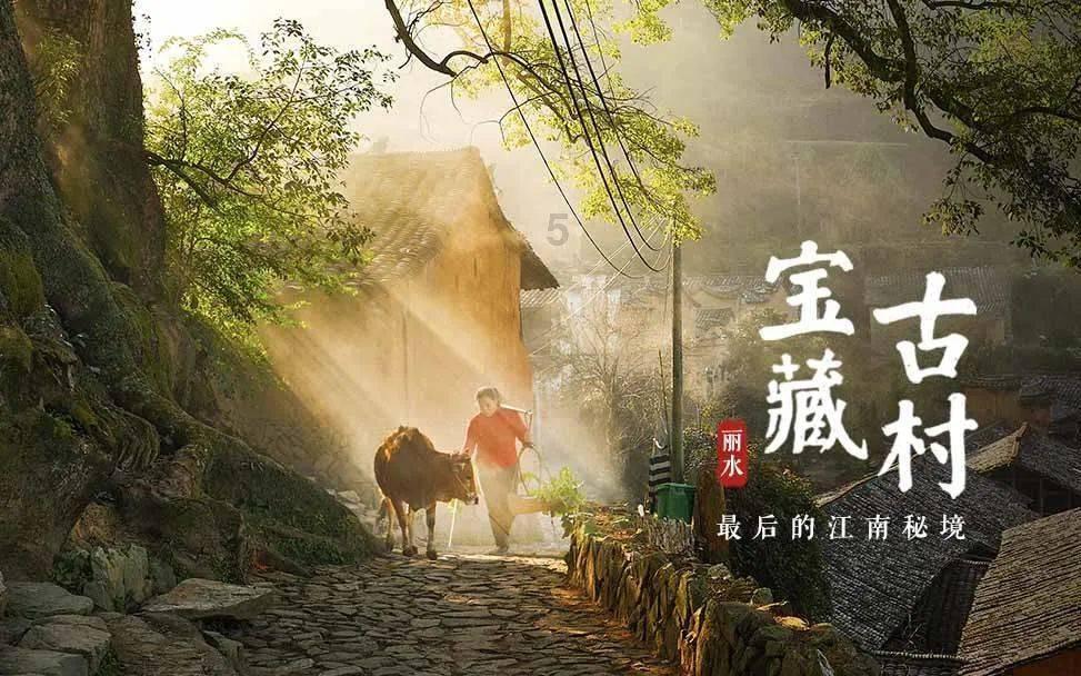 为什么南极有企鹅，北极却没有？游戏画面