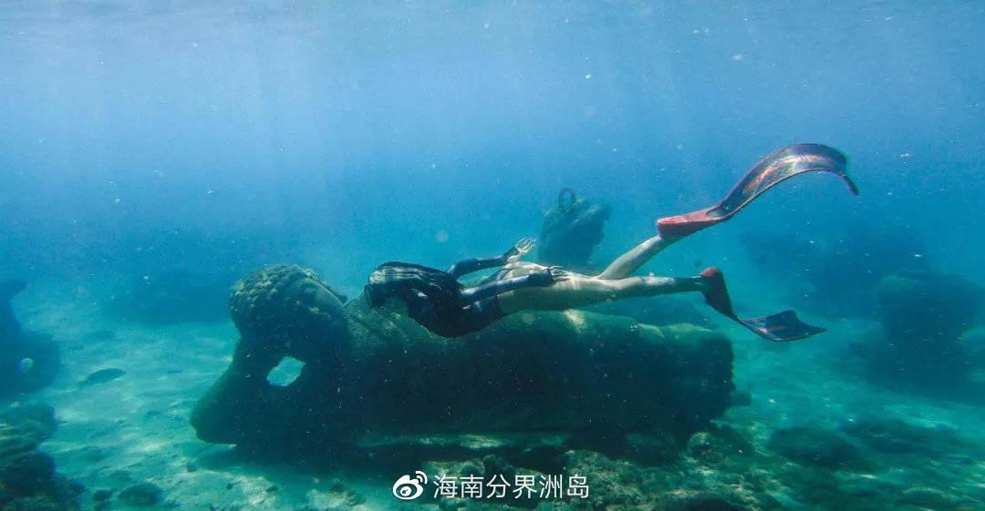 动物帮帮忙保卫家园