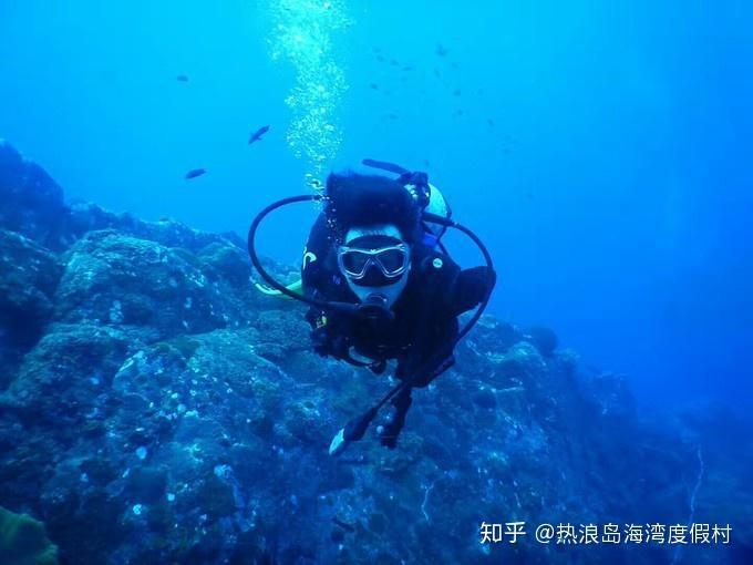 农场出逃大作战4