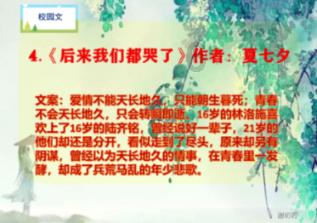 枪火游侠