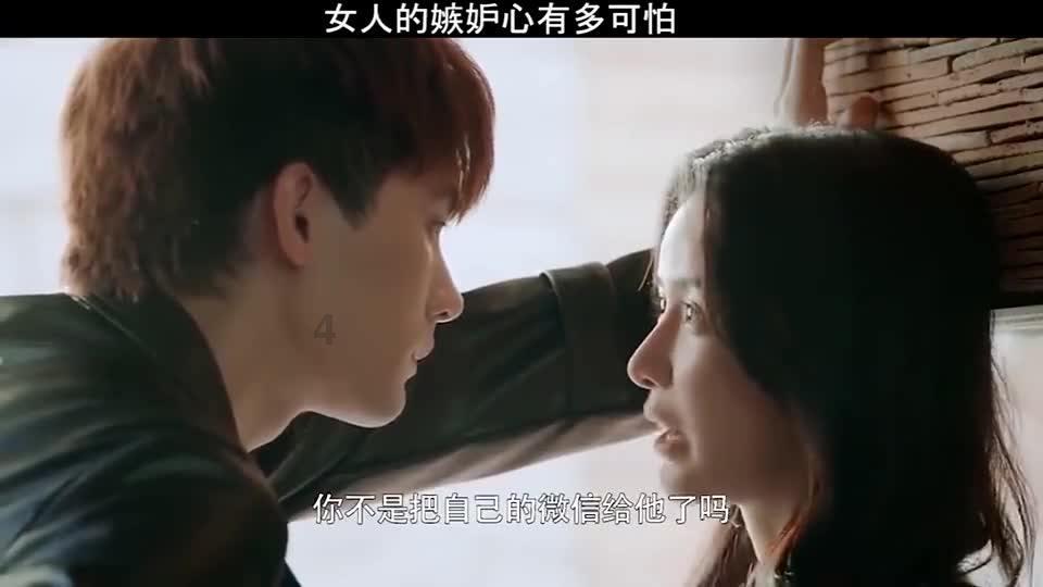狼和狗最本质的区别是？-有问必答平台