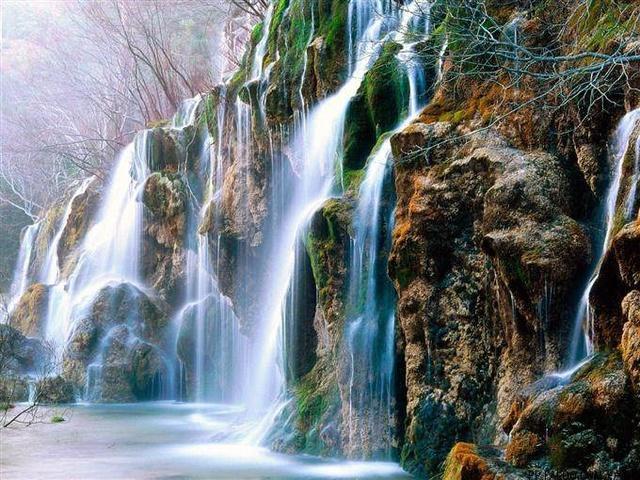 虫虫助手下载
