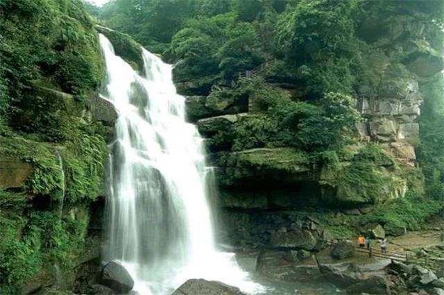 逃出小象森林
