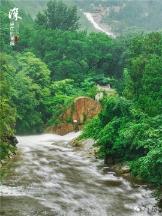 除虫大师