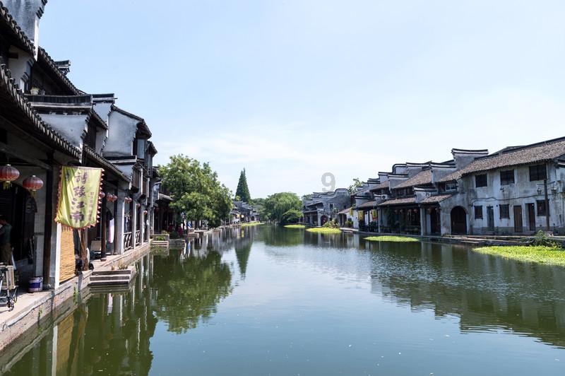 拯救精灵的土地5