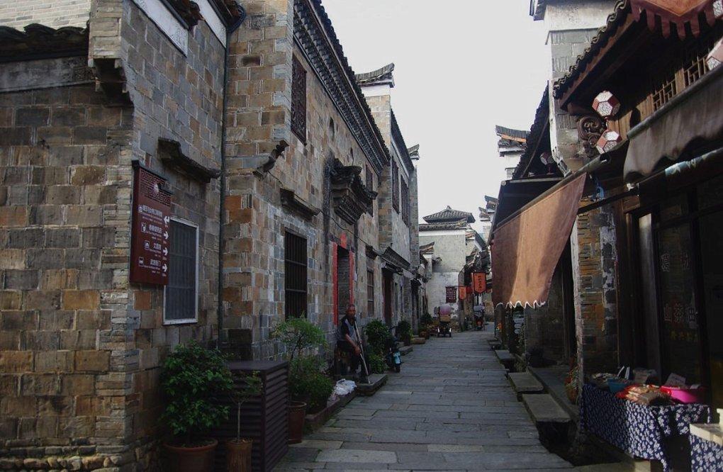 红色鹦鹉逃脱