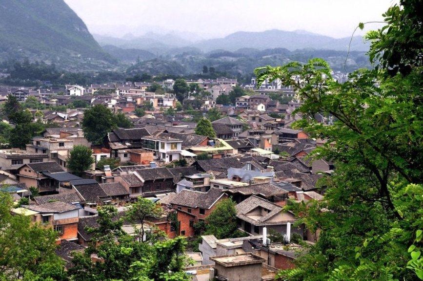 救援鹦鹉